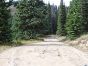 ruts_and_rocks