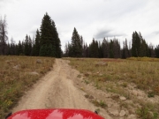 rutted