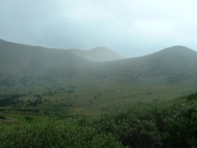 foggy_rain