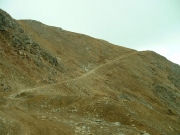 up_radical_hill