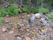 swan_river_part_1