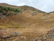 grassy_area