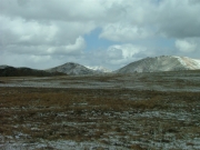 tundra