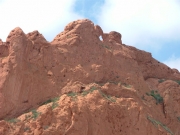 kissing_camels
