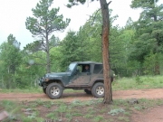 ladd_on_the_trail