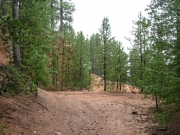 mellow_upper_trail