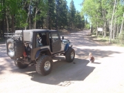 matt_on_the_trail_part_2