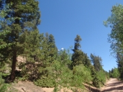 towers