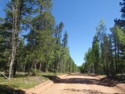 trail_part_1