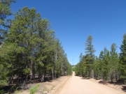 trail_part_5
