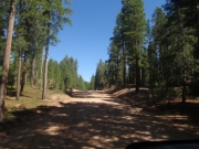 trail_part_6