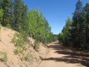 trail_part_7