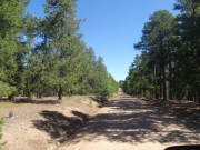 trail_part_8