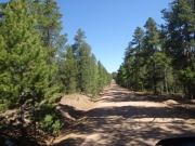 trail_part_9