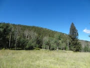 blue_sky