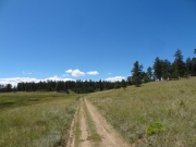 burma_shave