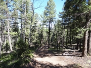 dutchs_hill_descent