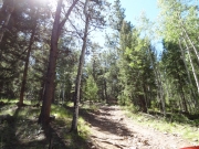 dutchs_hill_part_2