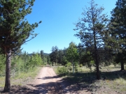 early_trail