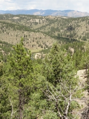 great_view_part_3