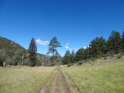 little-used_trail