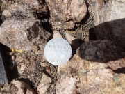 marker