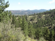 mountains