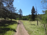 remote_area
