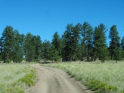 start_of_the_trail