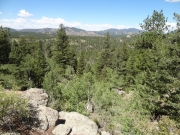 stit_view
