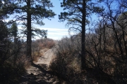 between_trees