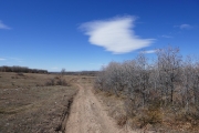 cloud_puff