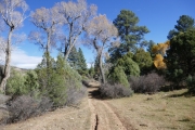 different_trees
