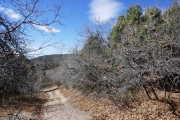 downhill
