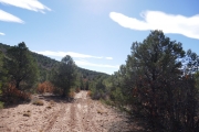 more_tracks