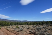 see_for_miles