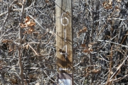 trail_marker