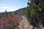 waves_of_trail