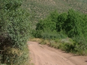 dusty_trail