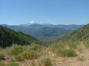 early_view