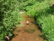 small_stream