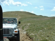 timberline