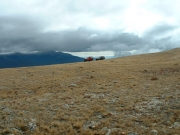 distant_jeeps
