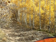 trail_colors