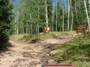 red_cone_intersection