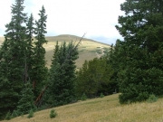 trail_in_the_distance