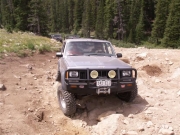 bruce_on_rocks