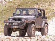 ladd_on_the_trail