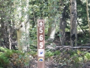 forest_service_sign