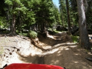 ruts
